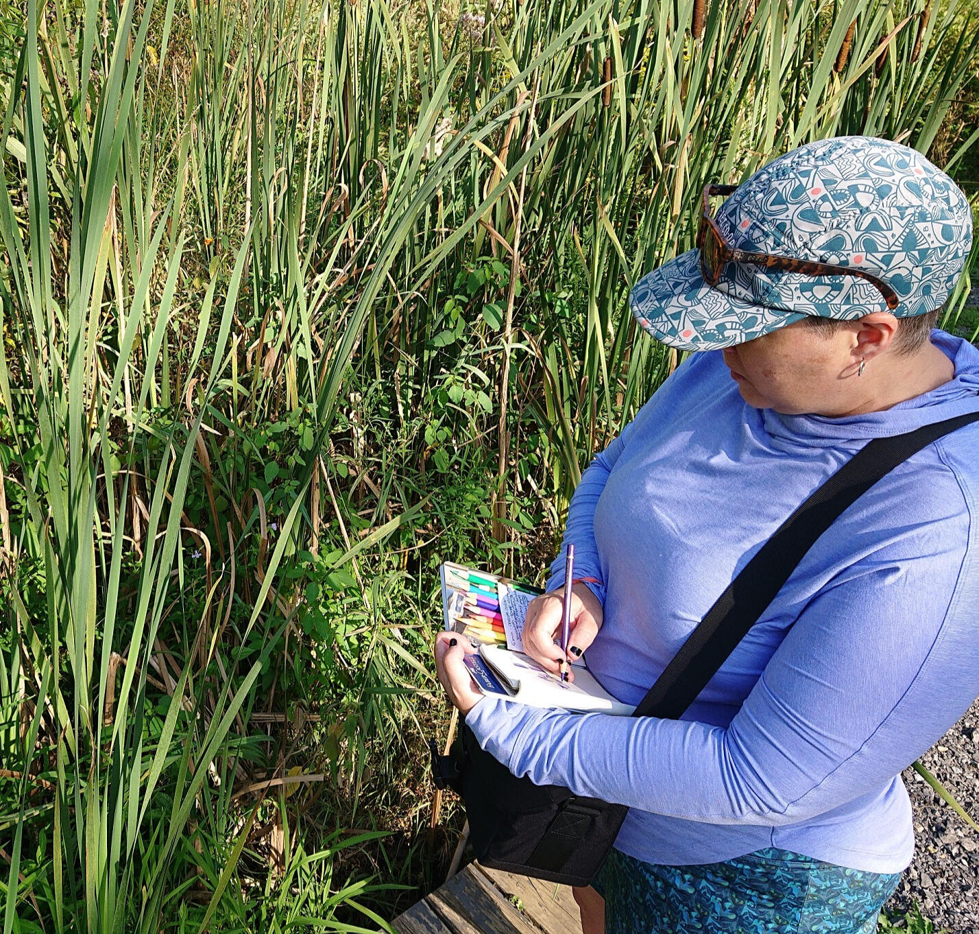 Eryn drawing Mimulus ringens amongst cattails